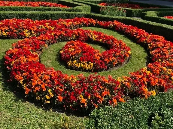 2021-06-20-12-26-51-576x432