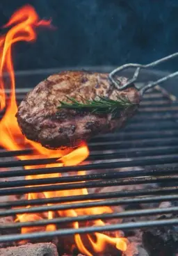 a251aec49a2a4ffab6ea8c1d9bbf619c