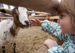 e2e5258a33c2421099a737b1305148bf