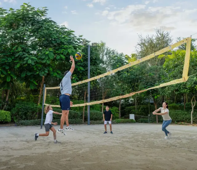 Volleyball Area