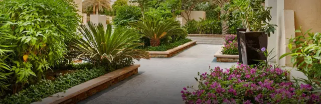 Garden Area