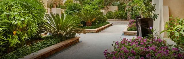 Landscaped Gardens